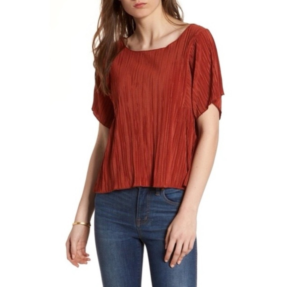 Madewell Texture & Thread Micropleat Top in Rusty Torch